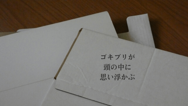 ダンボールと「ゴキブリが頭の中に思い浮かぶ」の文字